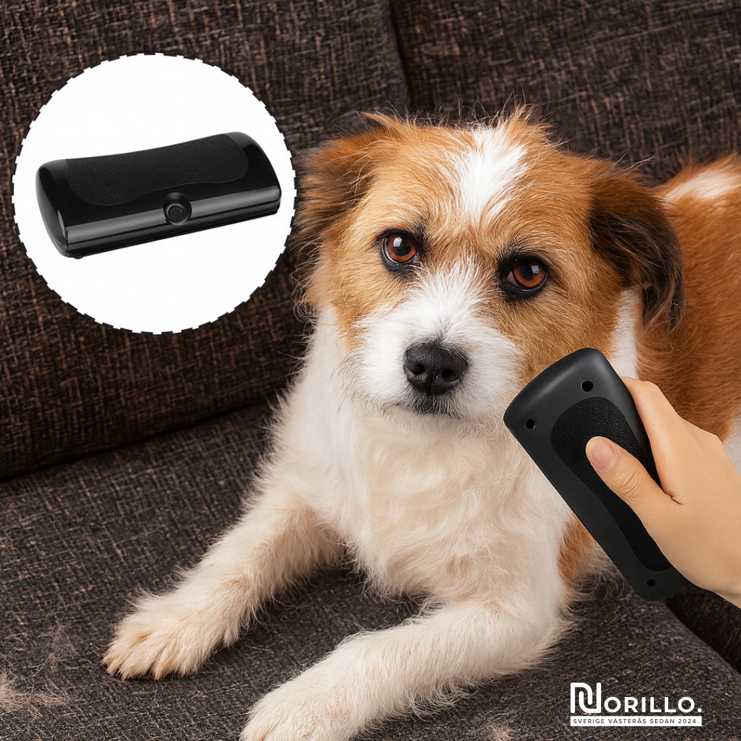 Norillo™ – Koiraharja, joka vähentää karvanlähtöä ja pitää kodin puhtaana