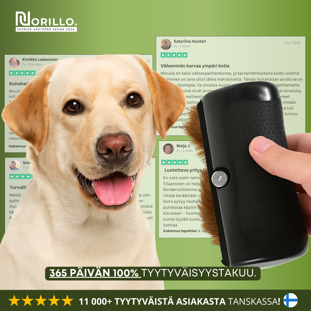 Norillo™ – Koiraharja, joka vähentää karvanlähtöä ja pitää kodin puhtaana