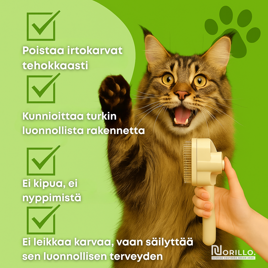 Norillo™ – Koiraharja, joka vähentää karvanlähtöä ja pitää kodin puhtaana