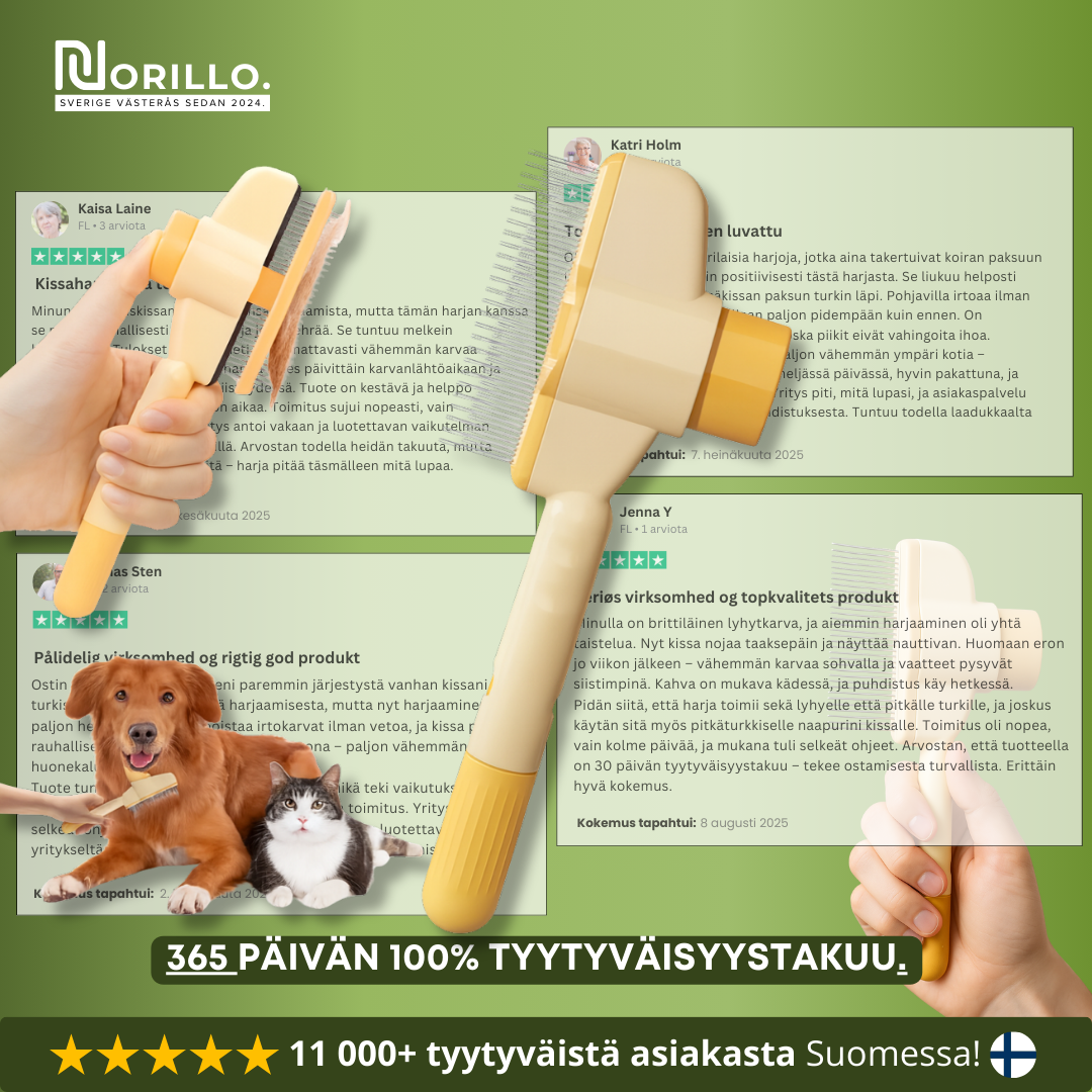 Norillo™ – Koiraharja, joka vähentää karvanlähtöä ja pitää kodin puhtaana